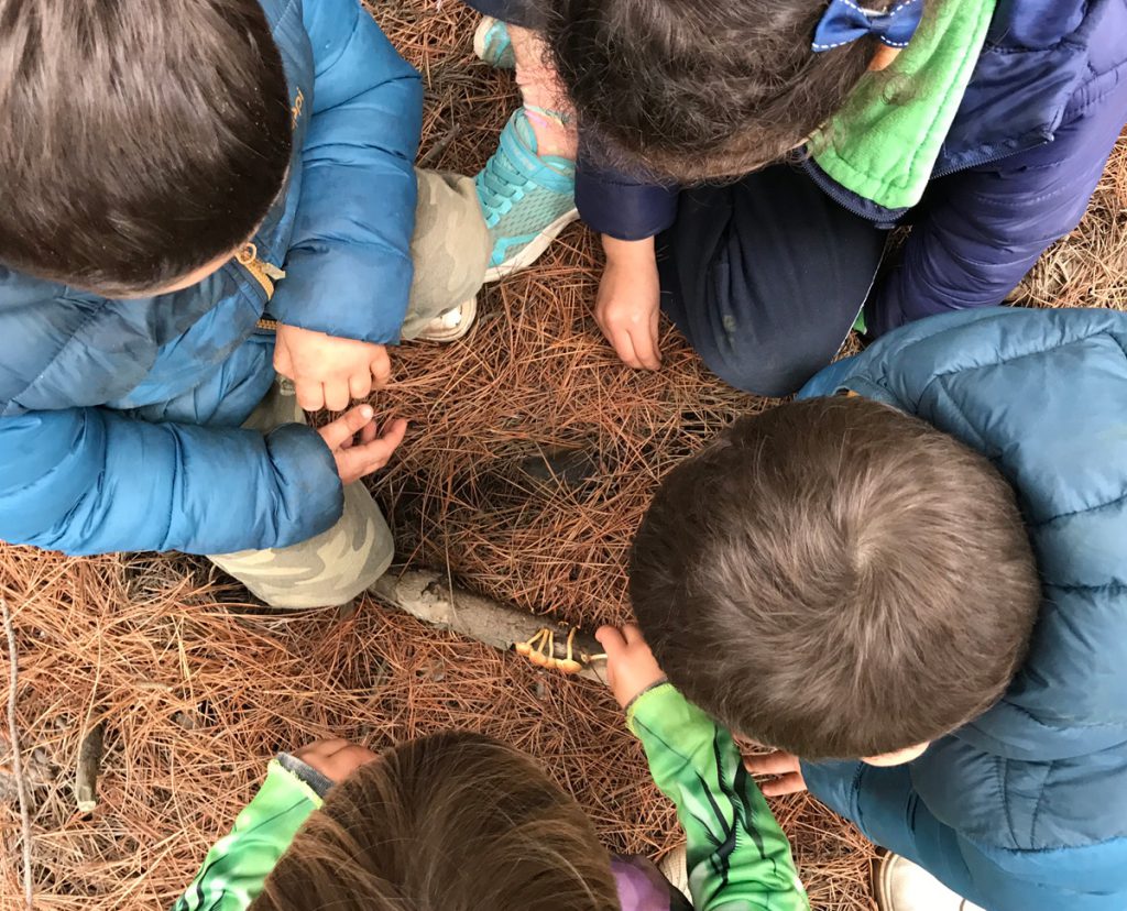 Cómo fomentar la autonomía