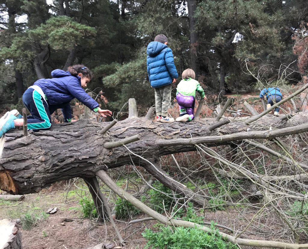 De la competencia a la colaboración
