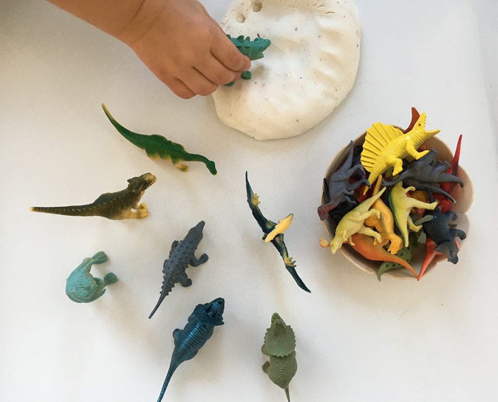 Fósiles de Dinosaurios