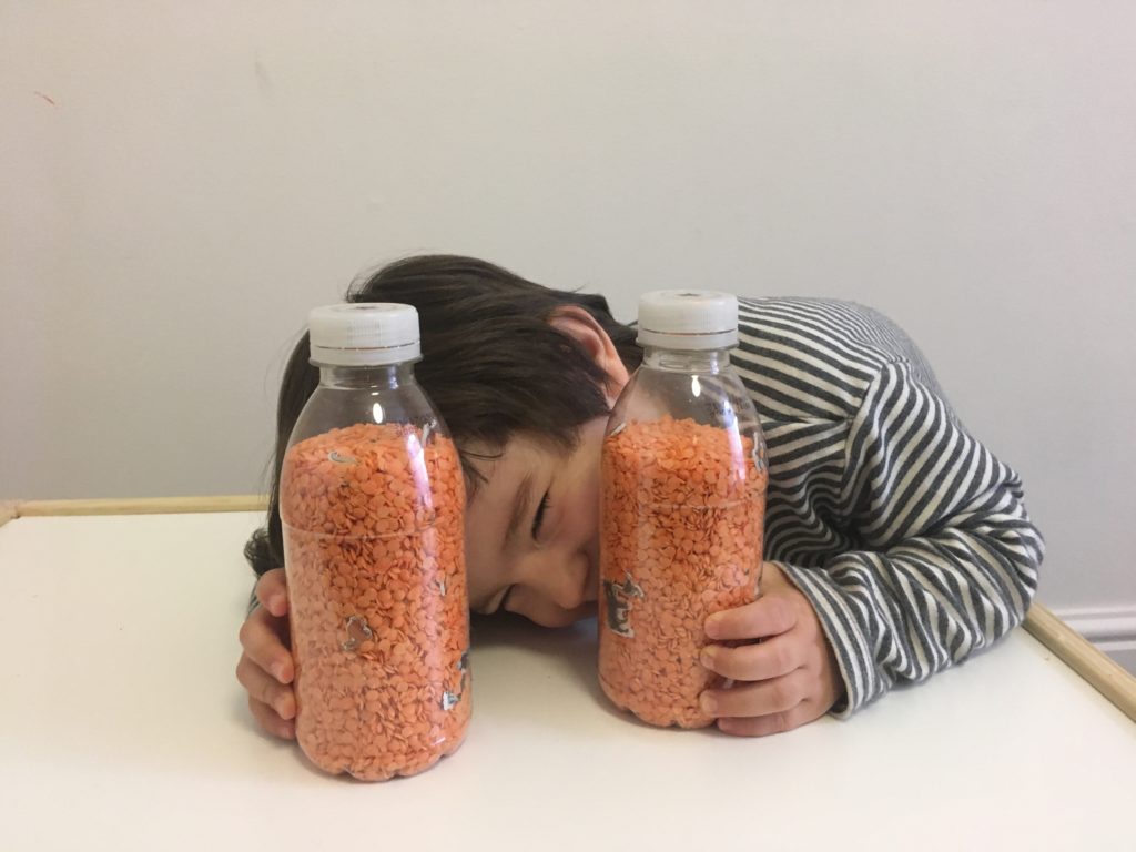 Botella espía de animales