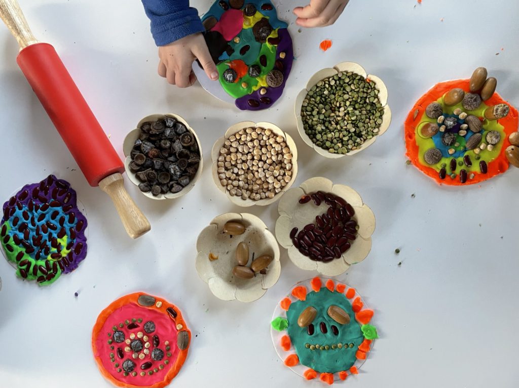 Mandalas con semillas